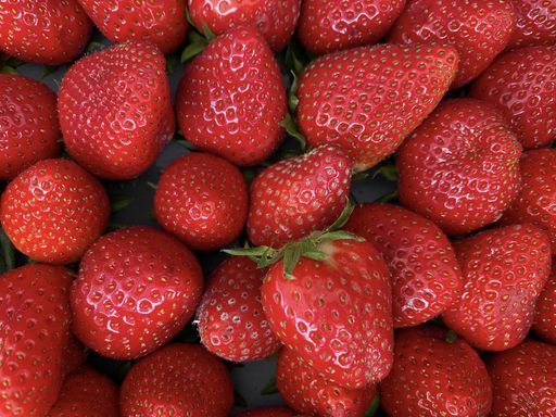 A closeup shot of vibrant red juicy fresh strawberries background