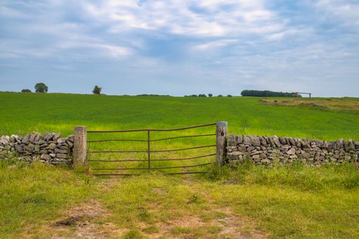 Agricultural field with grassland, meadow, and dry stone wall under blue summer sky.