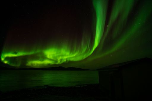 A stunning aurora borealis illuminating the night sky above the rural landscape.