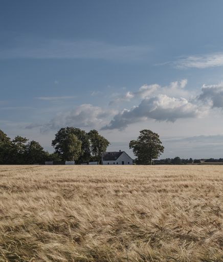 A beautiful wide shot of a dry grass field with a house in the background and amazing cloudy sky