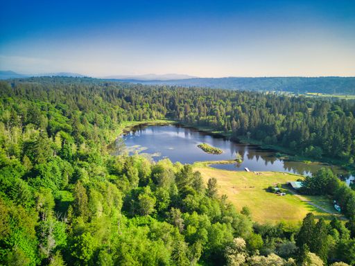 An aerial view of a lake landscape surrounded by lush green forests