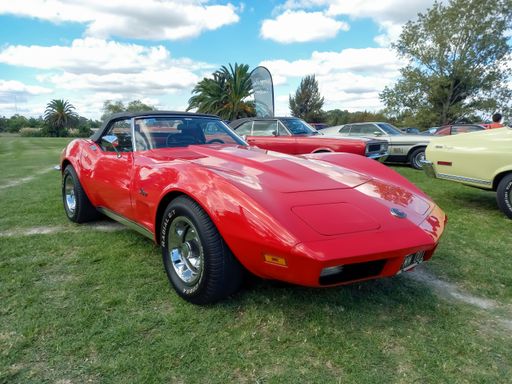 Old red sport Chevrolet Corvette C3 Stingray two door convertible circa 1970 in the countryside. Nature, grass, trees. Classic racing muscle car.