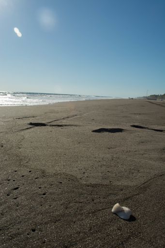 A vertical shot of a beach shore with clear blue sky in the background at daytime