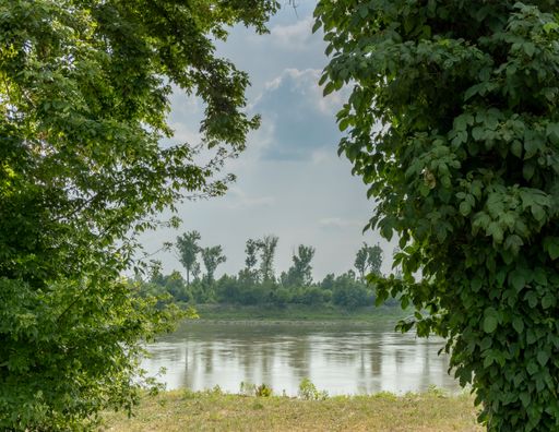 The idyllic view of the Missouri river between two lush trees
