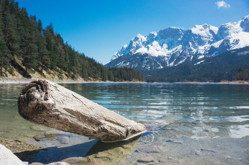 A broken tree log in the sea surrounded by high rocky mountains covered with snow