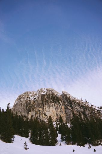 A vertical shot of a beautiful rocky cliff covered with snow surrounded by green trees