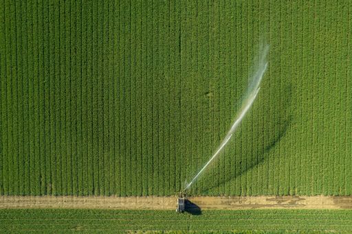 An aerial view of a rural farmer operating a tractor with an irrigation system, spraying water onto a green field of crops
