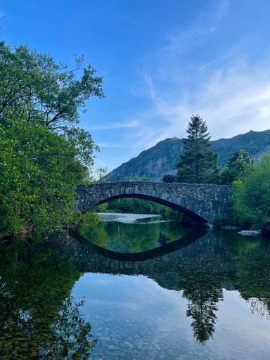 A scenic view of a bridge spanning a body of water surrounded by lush trees and foliage