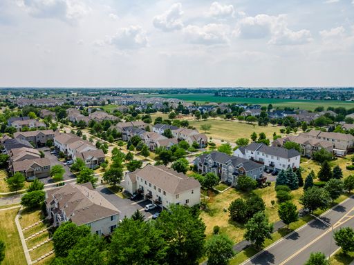 An aerial view of a residential area with multiple houses surrounded by green trees. Plainfield, IL.