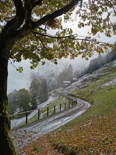 A vertical shot of the Bernese Alps nature in the autumn from Lauterbrunnen village in Switzerland
