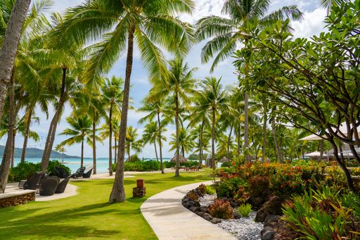 A beautiful beach in Bora Bora with lush palm trees and a breathtaking tropical landscape providing a stunning backdrop