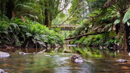 A tranquil stream passes beneath a picturesque bridge surrounded by lush green foliage.