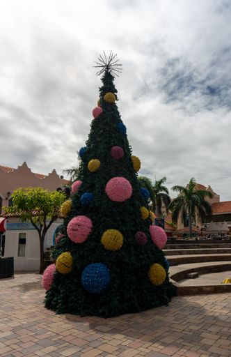 A vertical shot of a Christmas tree in Aruba
