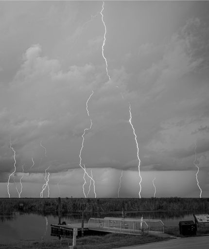 A dynamic grayscale shot of a lightning bolt striking through a dark sky