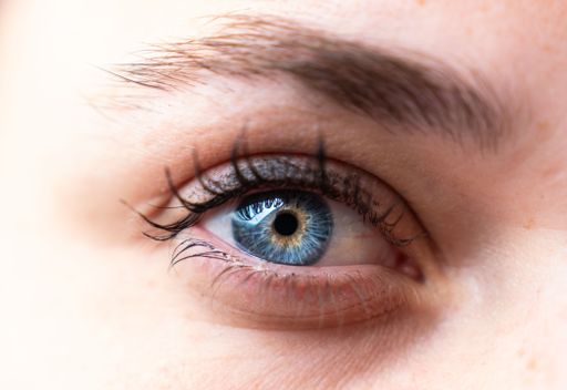 Welcome to our exclusive collection of stock photos, where the world unfolds through the mesmerizing gaze of blue and orange eyes.