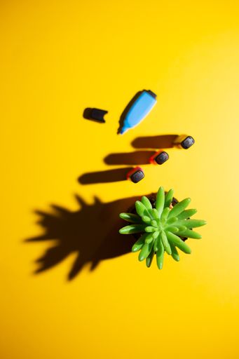 A top view of multicolored markers and a plant on a yellow work table