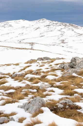 A vertical shot of a snow-covered mountain and a field
