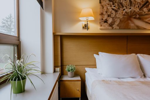 A beautiful shot of bedroom interior