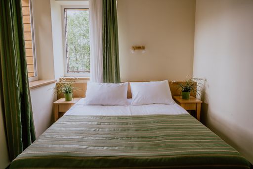 A small hotel room with a double bed and two bedside tables decorated with plants