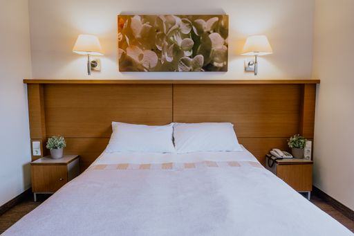 A hotel bedroom with a picture and lamps on the wall, nightstands with plants