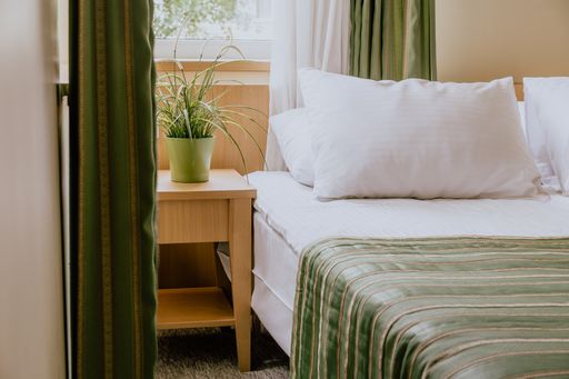 A small hotel room with a double bed and a bedside table under the window decorated with a plant