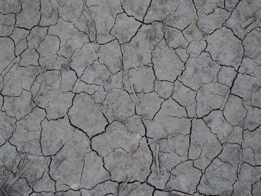 A closeup of dry cracked ground texture