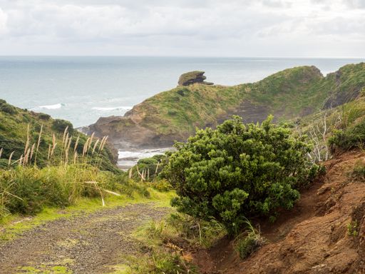 View of Taitomo Island (Camel Rock) at Piha, Auckland, New Zealand