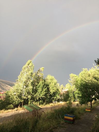 A vertical shot of a rainbow over the trees in a mountain
