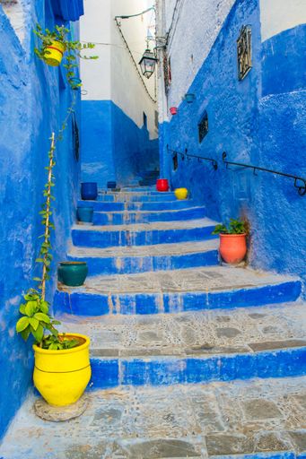 A narrow street in the old medina of Chefchaouen in Morocco, with buildings and steps painted in blue and colourful planters decorating the street.