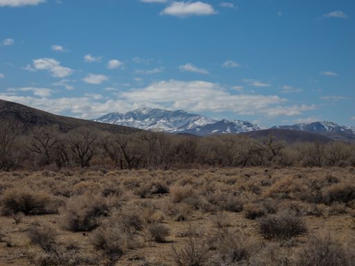 A vast field with dry vegetation against the backdrop of mountains. Nevada, USA.