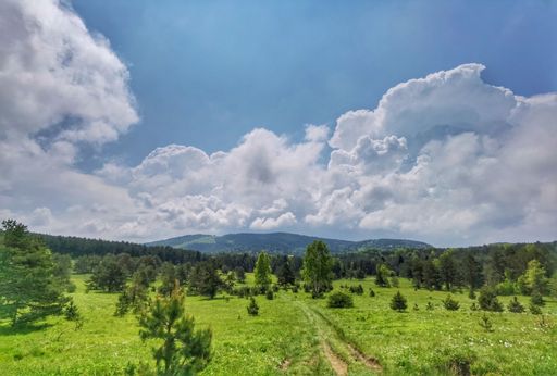 An expansive, lush green field dotted with trees, stretching out towards a majestic mountain range in the distance
