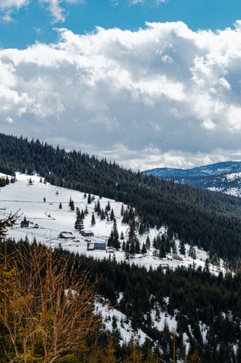 A vertical shot of snowy forests on mountains under the cloudy sky