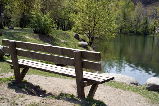 A beautiful shot of a wooden bench in front of a river surrounded by trees