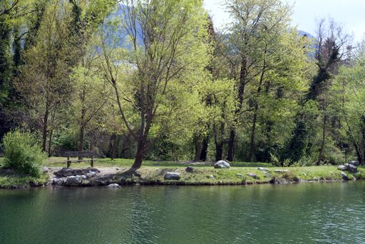 A scenic shot of a beautiful forest river surrounded by trees