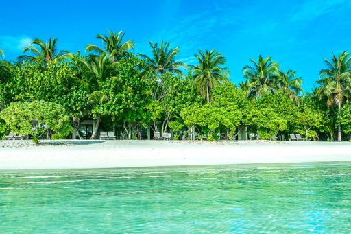 An idyllic beach in the Maldives with crystal clear turquoise waters and lush tropical palm trees