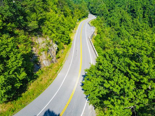 An aerial view of a road surrounded by greenery in Virginia