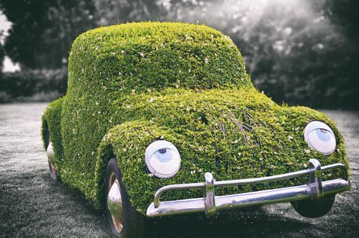 An antique car covered in greenery under the sunlight with a blurry greyscale background
