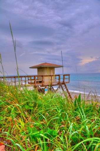 A lifeguard station located at the edge of a beach, with tall grass in the foreground