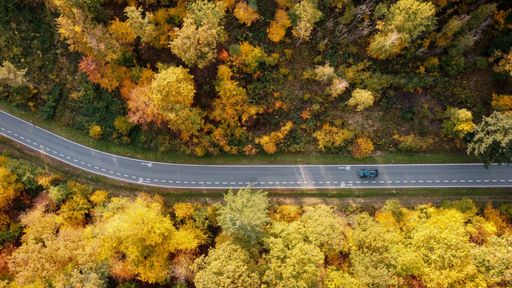 An aerial view of a car on a highway through the golden woodland at fall