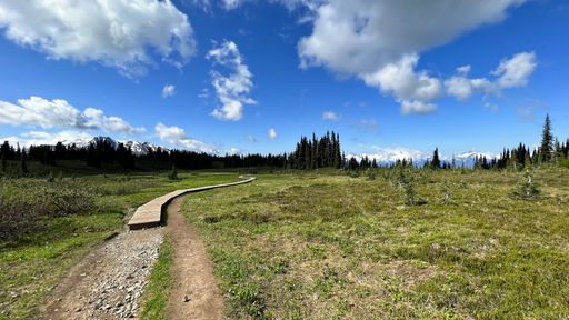 An idyllic trail winds through a green field. Taylor Meadows Trail, Garibaldi Provincial Park, Canada.
