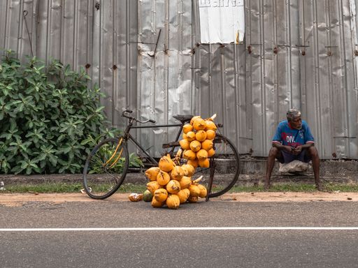 A man selling fresh coconuts attached to his bicycle on a busy road in Sri Lanka.