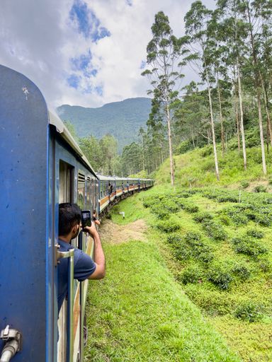 A train traversing through the tea fields from Kandy to Ella, Sri Lanka.