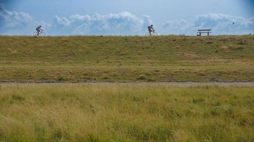 An idyllic outdoor view of two cyclists leisurely riding their bicycles in a meadow
