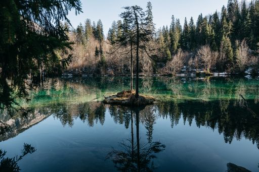 A landscape of a lake surrounded by forests with trees reflecting on the water under the sunlight