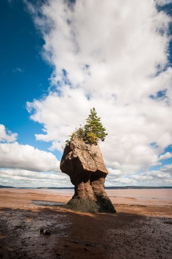 A picturesque scene of Hopewell Rocks Provincial Park in the Bay of Fundy, New Brunswick, Canada