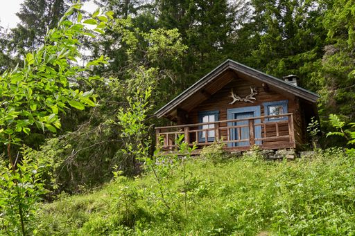 A cozy cabin surrounded by lush green trees