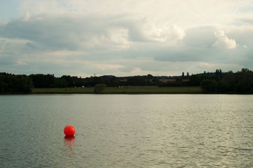 An orange ball buoy floating on a quiet lake beside a park
