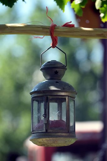 An antique styled lantern hung from a tree branch beside an asphalt road, illuminated in the darkness of night