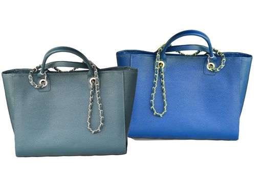 The two leather bags isolated on a white background.