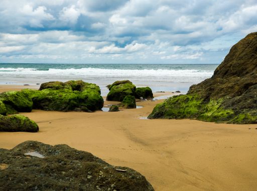 A beautiful view of rocks with moss on a sandy shore under a cloudy sky